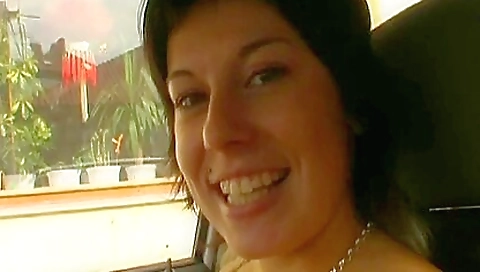 Mil lavenderos gisey's wetta